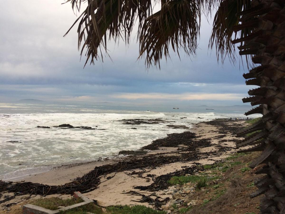 Dolphin Inn Guesthouse Cape Town Bagian luar foto