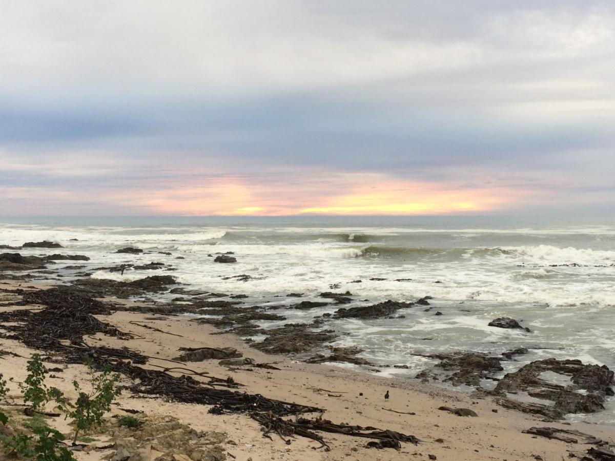 Dolphin Inn Guesthouse Cape Town Bagian luar foto