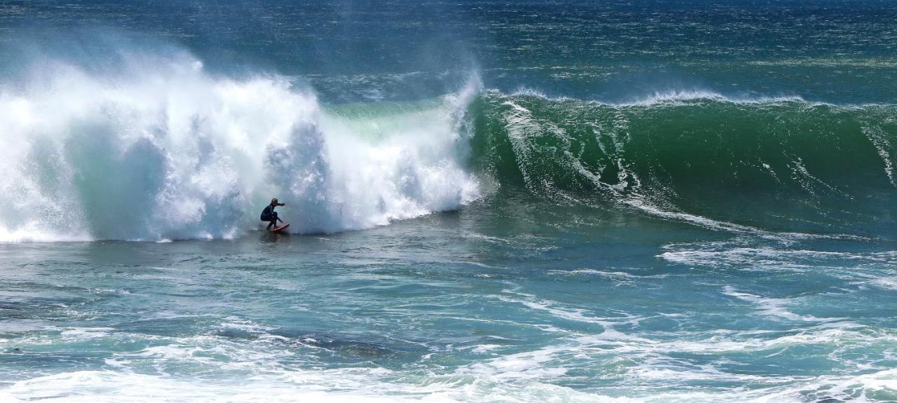 Dolphin Inn Guesthouse Cape Town Bagian luar foto
