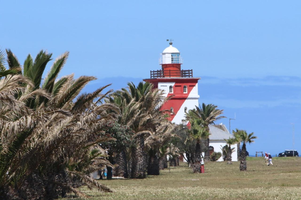 Dolphin Inn Guesthouse Cape Town Bagian luar foto